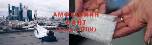 ГАЛЛЮЦИНОГЕННЫЕ ГРИБЫ Гусь-Хрустальный